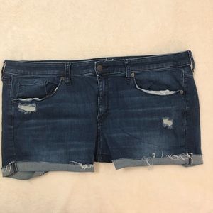 Women’s Universal Thread Shorts.
